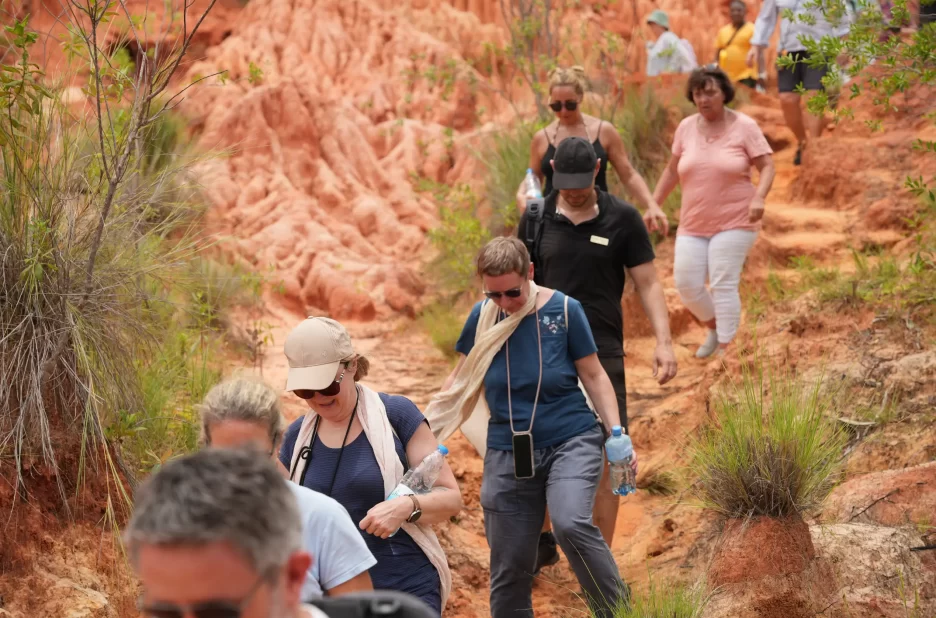 Pont suspendu du Parc National d'Ankarana au nord de Madagascar