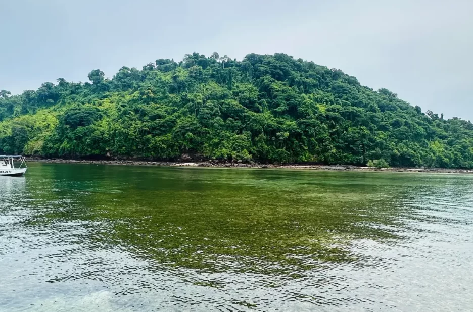 Explorez Nosy Sakatia et ses Plages Préservées