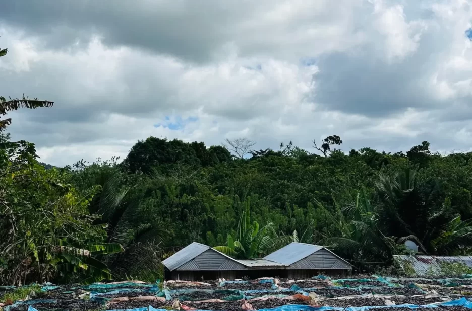 Le fleuve Bemarivo et le village de Hangitry près de Sambava
